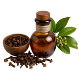 Clove